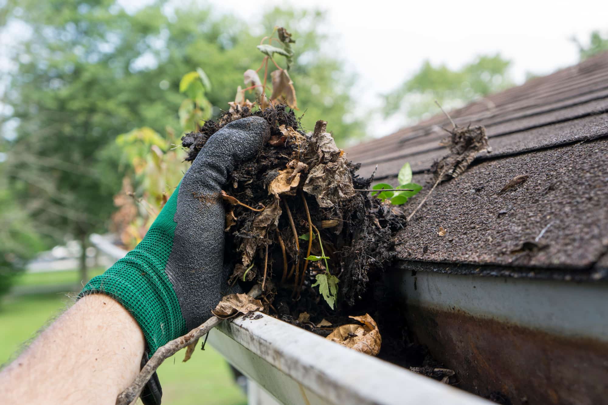 lawn pro cleaning gutters